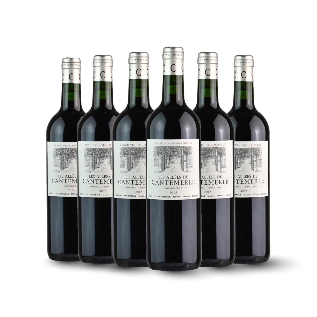 Chateau Gruaud Larose 1994 - Remfly Online Wine Shop (Hong Kong